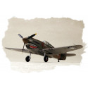 Plastic model P-40B/C Hawk- 81
