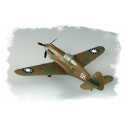 Plastic model P-40B/C Hawk- 81
