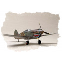 Plastic model P-40B/C Hawk- 81