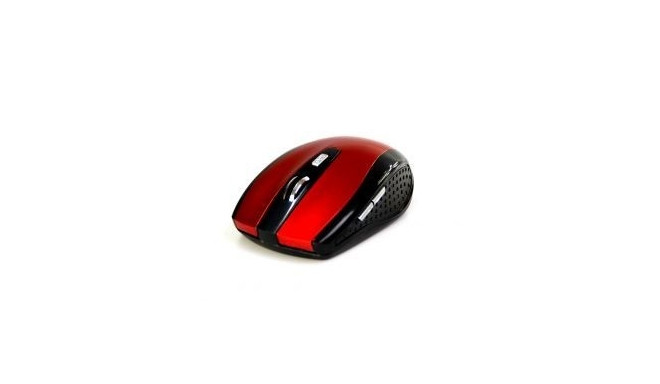 RATON PRO WIRELESS OPTICAL MOUSE