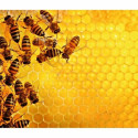 Pusle Ravensburger Challenge 17362 Beehive 1000 Tükid, osad
