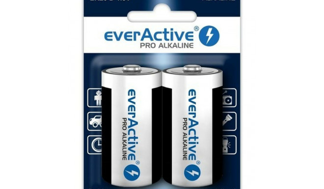 Batteries EverActive LR20 1,5 V (2 Units)