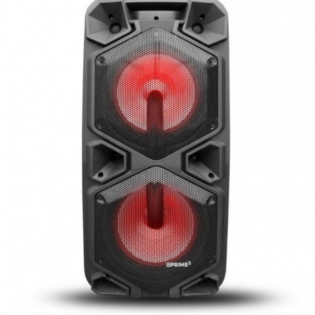 Based on the model Akai APA20 (a common party speaker with this designation), here 