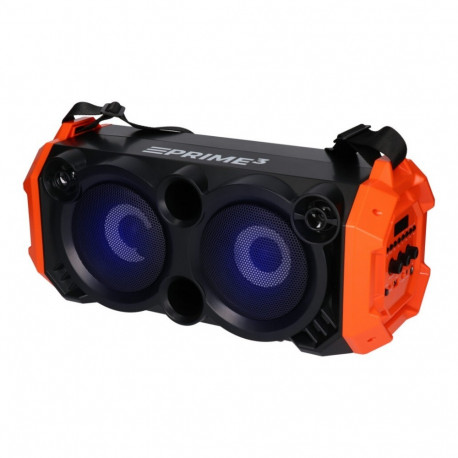 Portable speaker Bluetooth APS31