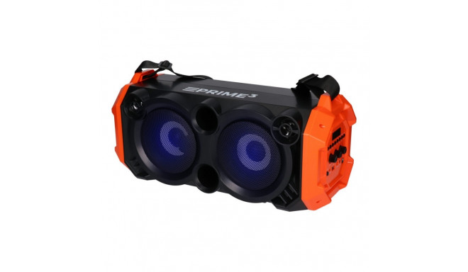 Portable speaker Bluetooth APS31