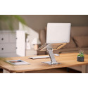 Gembird NBS-D1-03 laptop stand Silver 39.6 cm (15.6")