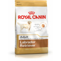 Sööt Royal Canin Labrador Retriever Adult 12 kg Täiskasvanutele Täiskasvanu