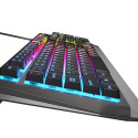 Gaming keyboard Genesis Rhod 300 RGB
