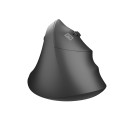 Natec wireless mouse Crake 2, black (NMY-2048)
