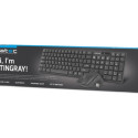 Natec klaviatuur + juhtmevaba hiir Stingray US