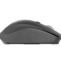 MOUSE NATEC FALCON WIRELESS 3200DPI BLUETOOTH 5.0 + 2.4GHZ  OPTICAL BLACK