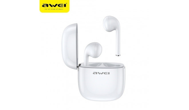 Here are a few ways to format or expand on that product information, depending on what you need:
