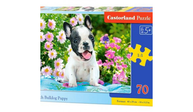 Castorland B-070152 puzzle Jigsaw puzzle 70 pc(s) Animals