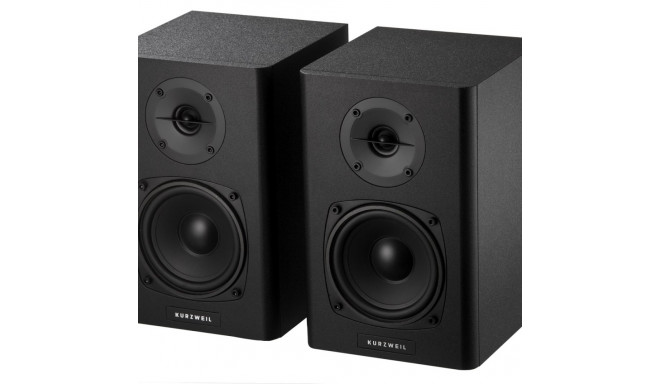 Kurzweil KS-40A - a pair of studio monitors