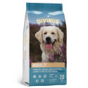DIVINUS Adult - dry dog food - 20 kg