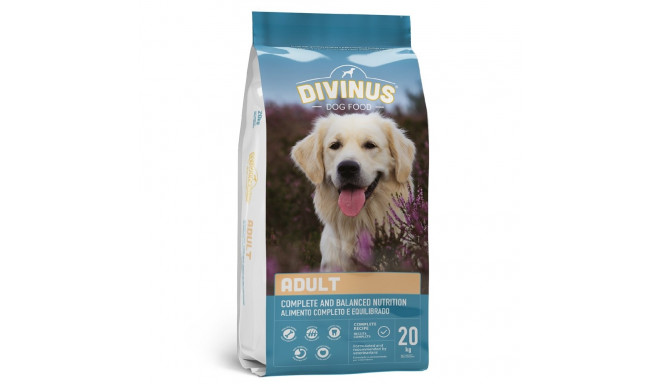 DIVINUS Adult - dry dog food - 20 kg