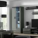 Cama display cabinet SOHO S6 2D2S grey/grey gloss