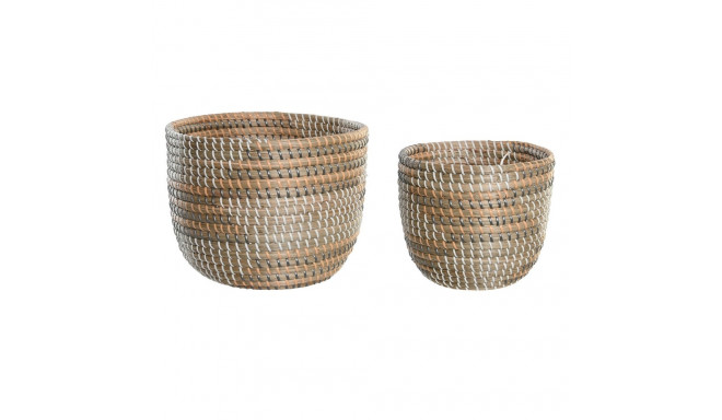 Grozs DKD Home Decor 28 x 28 x 22 cm Tropiskais Jūraszāle