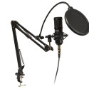 Microphone Recording with handle