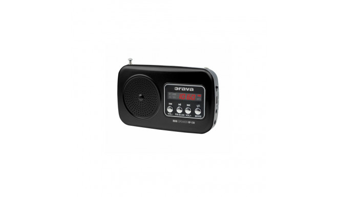 Portable radio with USB/SD/micro SD Orava