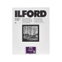 Ilford fotopaber Multigrade RC Deluxe Pearl 24x30.5cm lehte