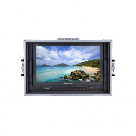 Seetec monitor P173-9HSD-CO 17.3" kaasaskantav
