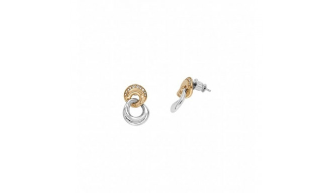 Ladies' Earrings Skagen SKJ1609998