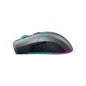 Thunderobot Dual-Modes Gaming mouse ML703 (black)