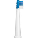 Varuharjad hambaharjale Sencor SOX012BL, sinine