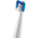 Varuharjad hambaharjale Sencor SOX012BL, sinine