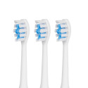 Toothbrush Promedix PR-750 W IPX7 black, travel case, 5 modes, timer, 3 power levels, 3 heads