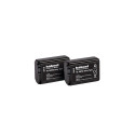 HÄHNEL BATTERY SONY HL-XW50 TWIN PACK