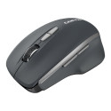 CANYON MW-21, 2.4 GHz Wireless mouse,with 7 buttons, DPI 800/1200/1600, Battery:AAA*2pcs,Dark gray72