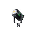 Weelite Ninja 20B