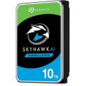 Drive SkyHawkAI 10TB 3,5 256MB ST10000VE001
