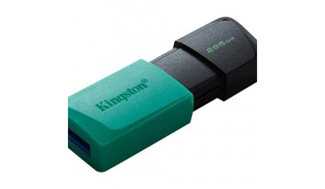 Kingston mälupulk 256GB DataTraveler Exodia M