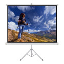 ART projector screen 84" 152x152cm TS-60 1:1