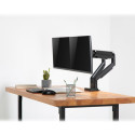 DIGITUS Dual Gas Spring Monitor Clamp Mount