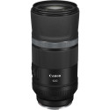 Canon EOS R8 + RF 600mm f/11 IS STM + Mount Adapter EF-EOS R