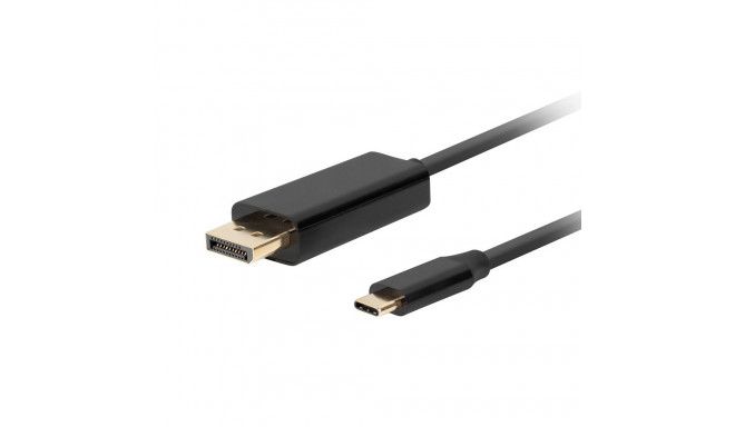 USB C-DisplayPort Adapter Lanberg CA-CMDP-10CU-0010-BK Must 1 m