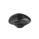 Optisk trådløs mus Natec BlackBird 2 1600 dpi