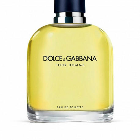 Men's Perfume Dolce & Gabbana DOLCE & GABBANA POUR HOMME EDT 125 ml Pour Homme