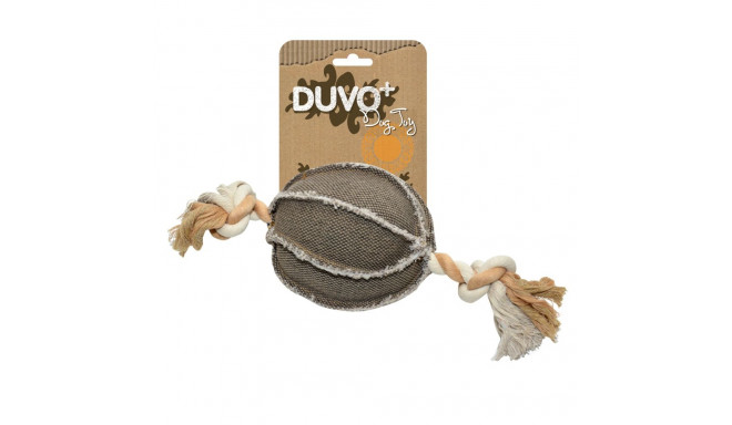 Dogtoy Canvas ball with rope