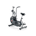 Schwinn Airdyne AD6i 100324 air bike