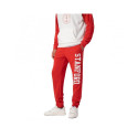 Champion Stanford University Ribbed Cuffs Pants M 218570.RS010 (M)