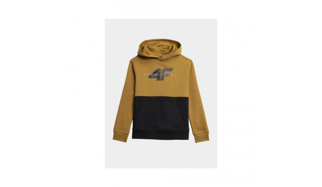 4F Jr sweatshirt 4FJAW23TSWSM628-74S (128)