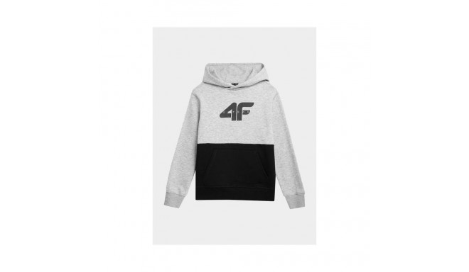 4F Jr sweatshirt 4FJAW23TSWSM628-27M (140)