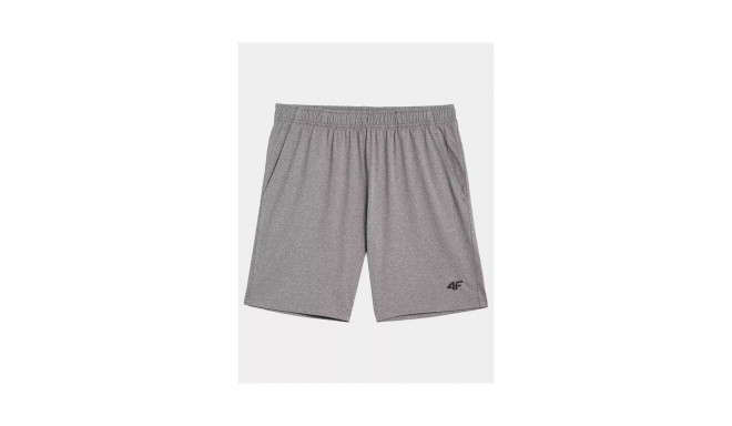Shorts 4F M 4FAW23TFSHM299-27M (M)