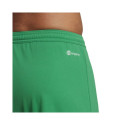 Adidas ENTRADA 22 Short M IC7405 shorts (L)