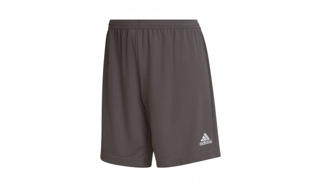 Adidas Entrada 22 W shorts HH9995 (S)